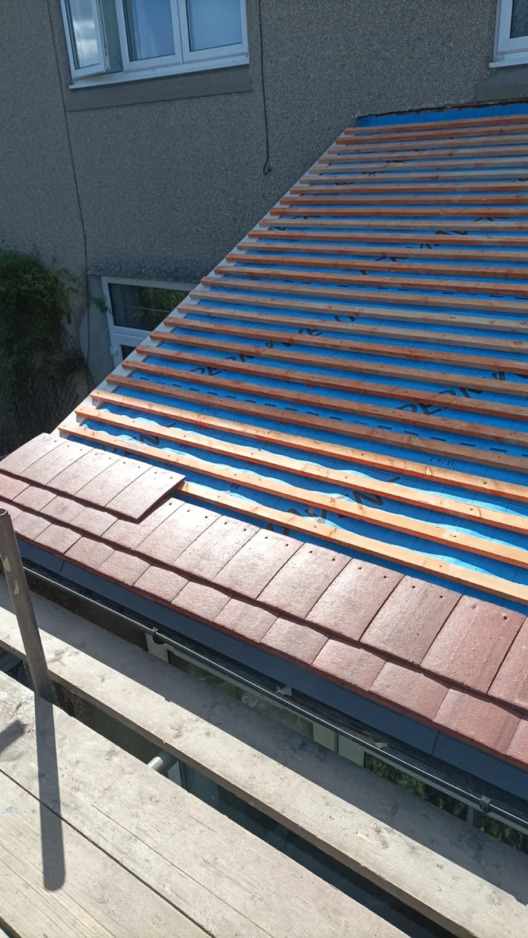 Slate Roof