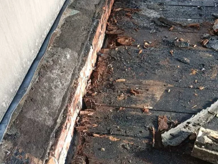 Water damaged wooden boarding on flat roof